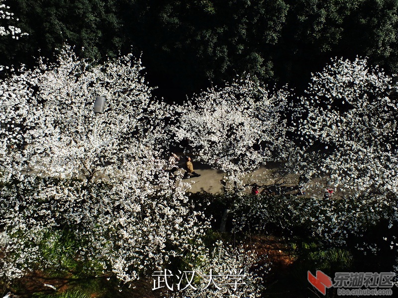 DSCF3152_缩小大小_exposure.JPG