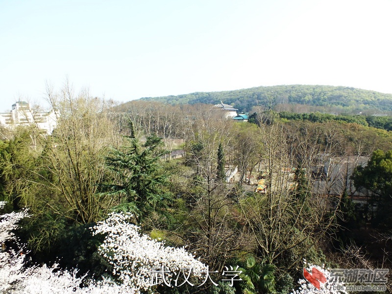 DSCF3170_缩小大小_exposure.JPG