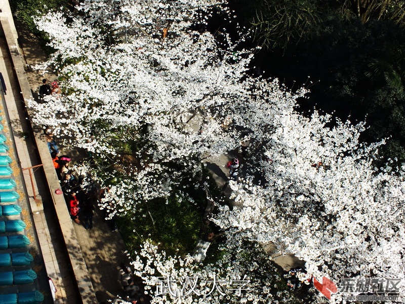 DSCF3175_缩小大小_exposure.JPG