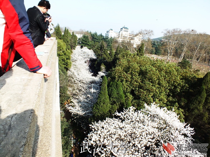 DSCF3187_缩小大小_exposure.JPG