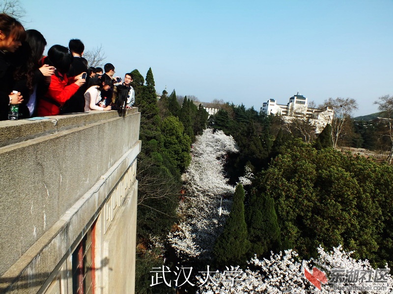 DSCF3190_缩小大小_exposure.JPG