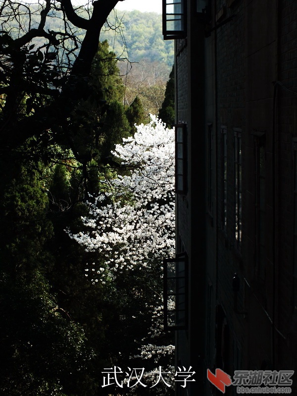 DSCF3251_缩小大小_exposure.JPG