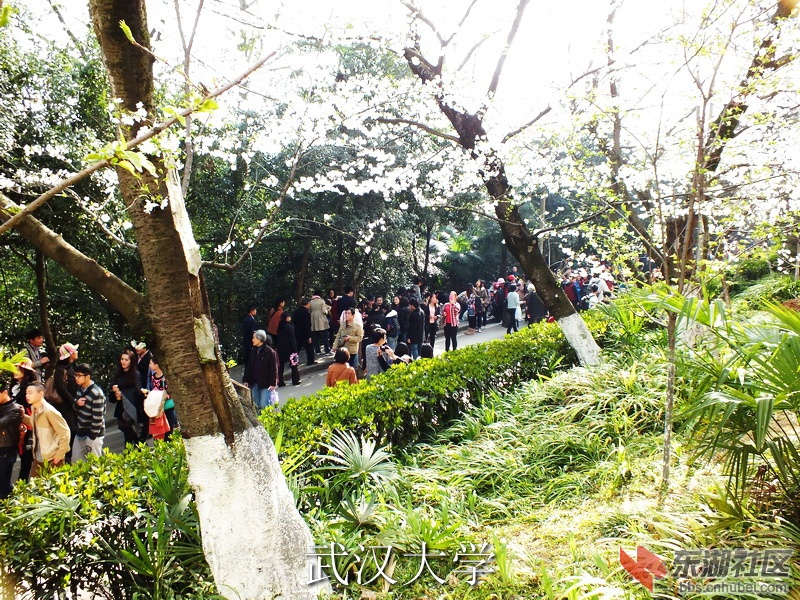 DSCF3265_缩小大小_exposure.JPG