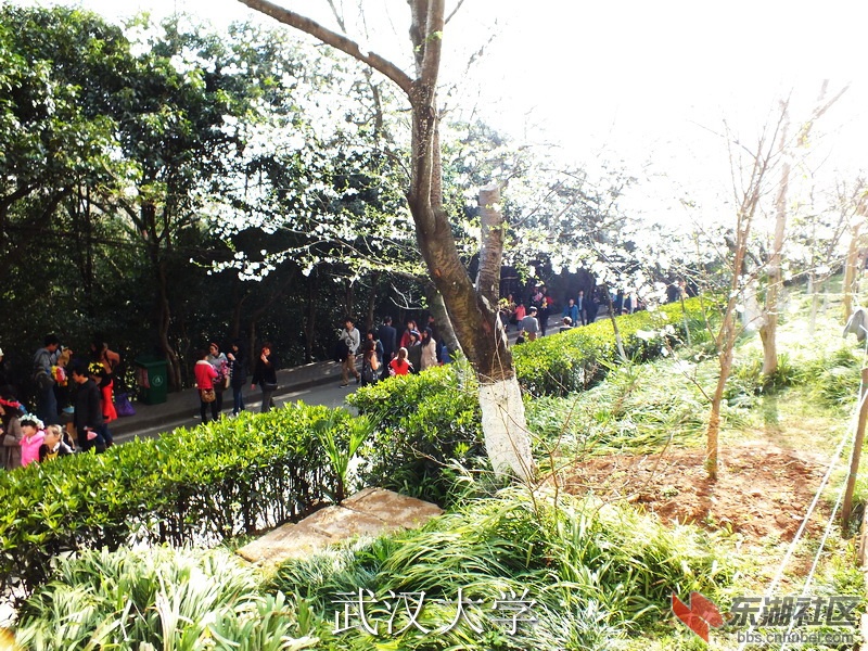 DSCF3273_缩小大小_exposure.JPG