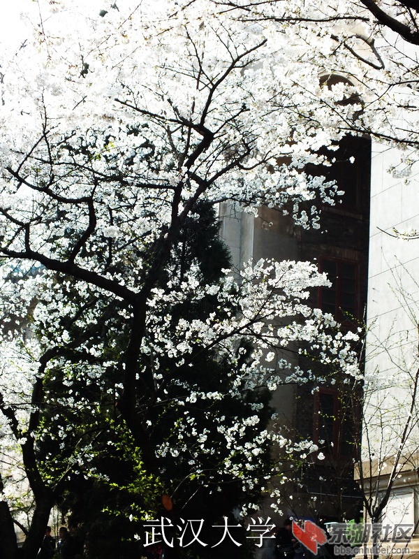 DSCF3289_缩小大小_exposure.JPG