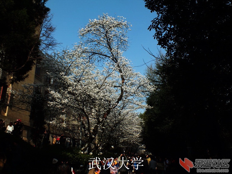 DSCF3295_缩小大小_exposure.JPG