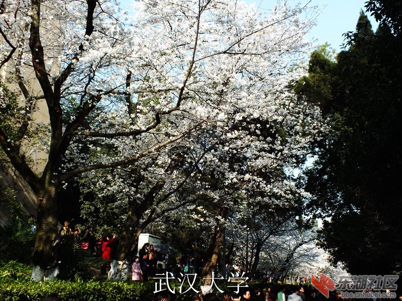 DSCF3299_缩小大小_exposure.JPG
