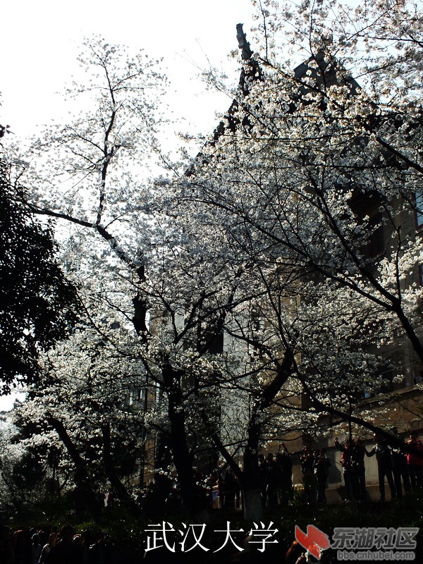 DSCF3303_缩小大小_exposure.JPG