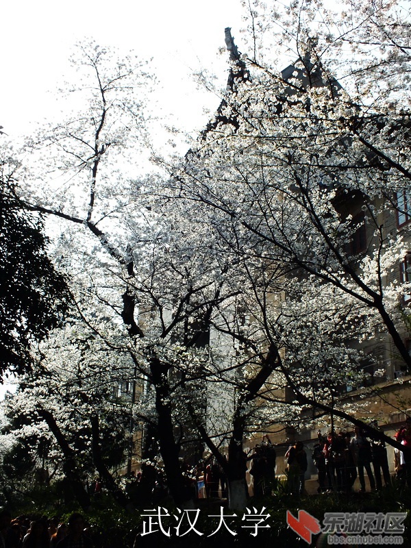 DSCF3304_缩小大小_exposure.JPG