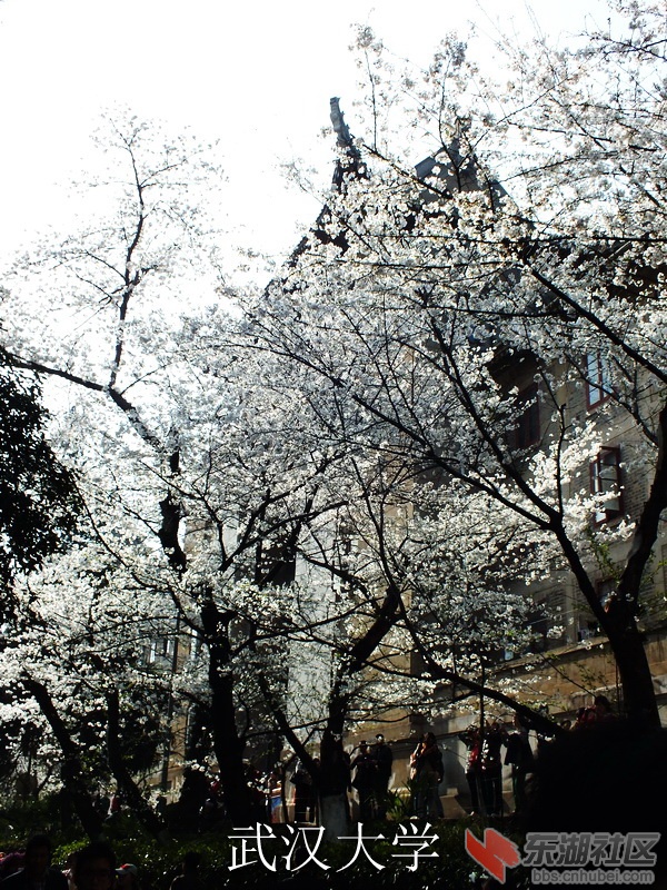DSCF3305_缩小大小_exposure.JPG