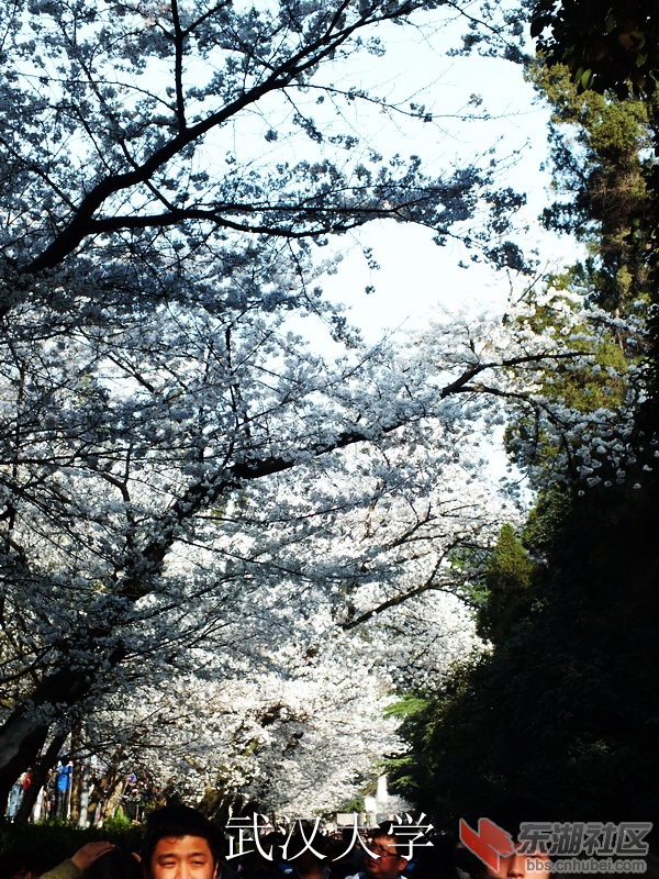 DSCF3307_缩小大小_exposure.JPG