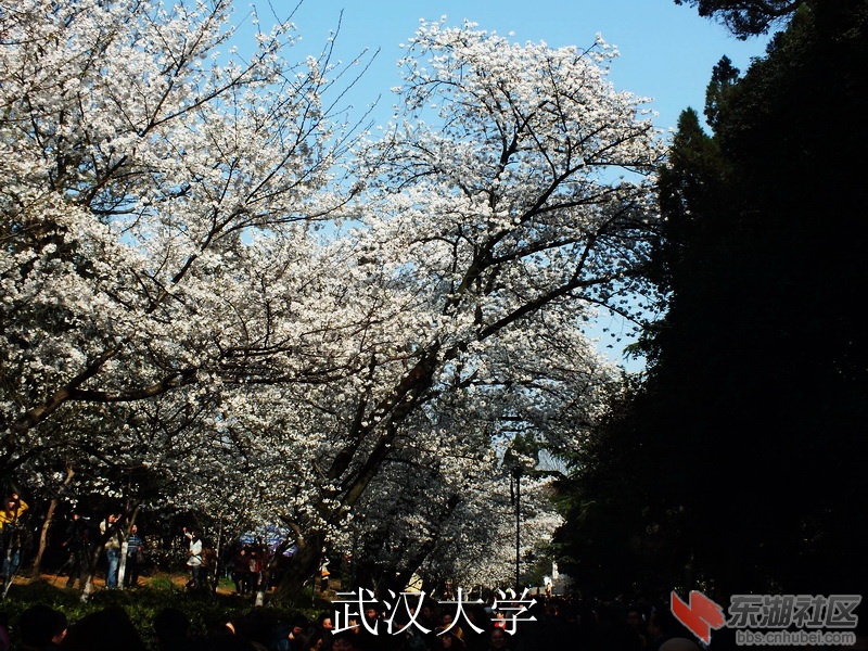 DSCF3327_缩小大小_exposure.JPG