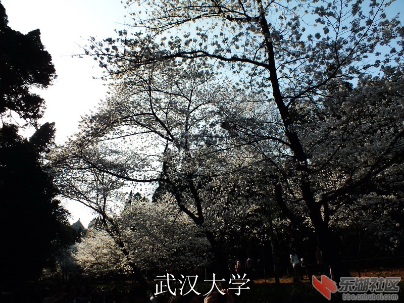 DSCF3334_缩小大小_exposure.JPG
