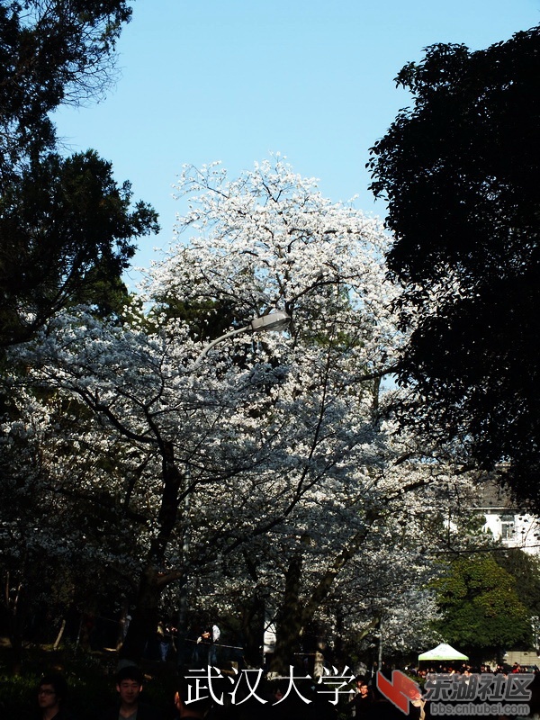 DSCF3339_缩小大小_exposure.JPG