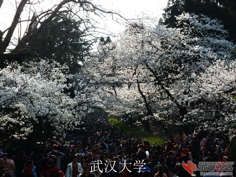 DSCF3352_缩小大小_exposure.JPG