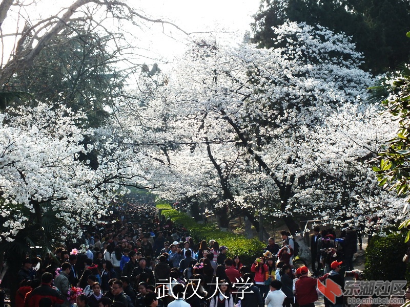 DSCF3354_缩小大小_exposure.JPG