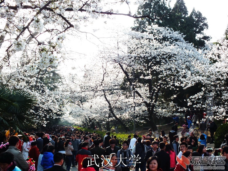 DSCF3356_缩小大小_exposure.JPG