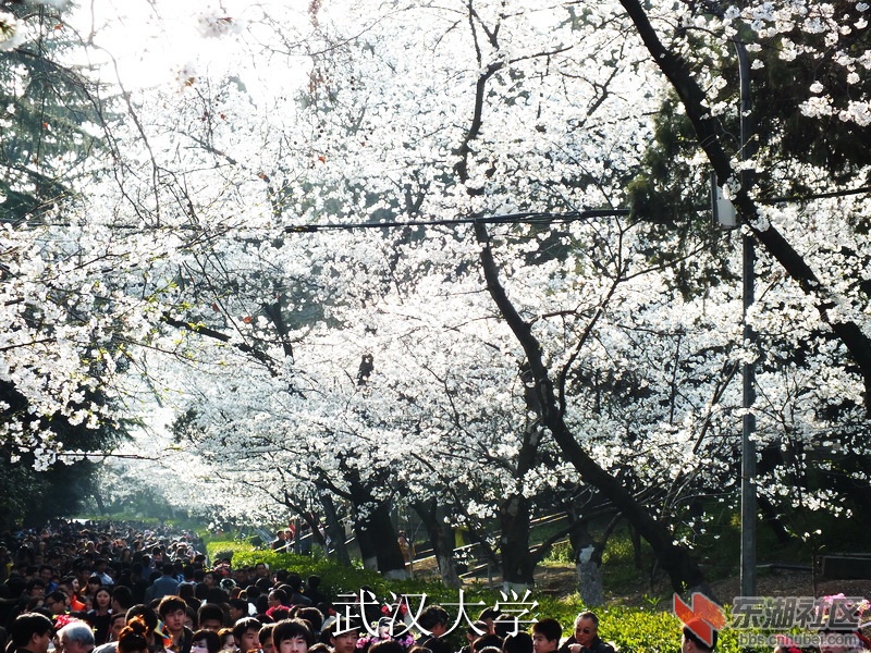 DSCF3373_缩小大小_exposure.JPG