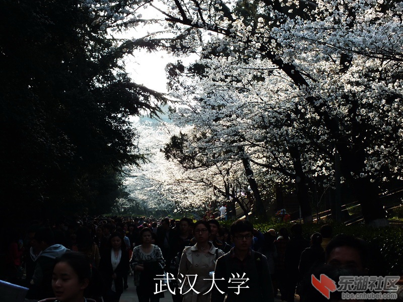DSCF3408_缩小大小_exposure.JPG
