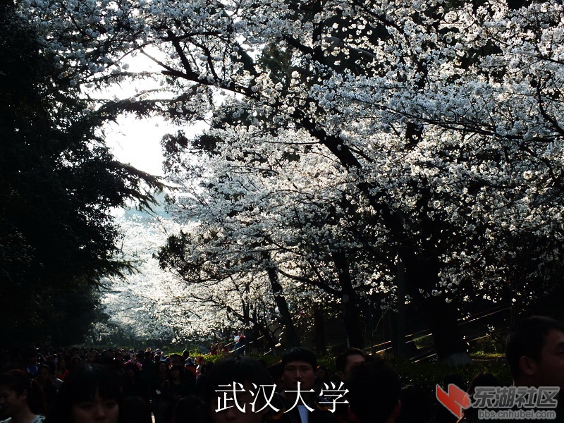 DSCF3409_缩小大小_exposure.JPG