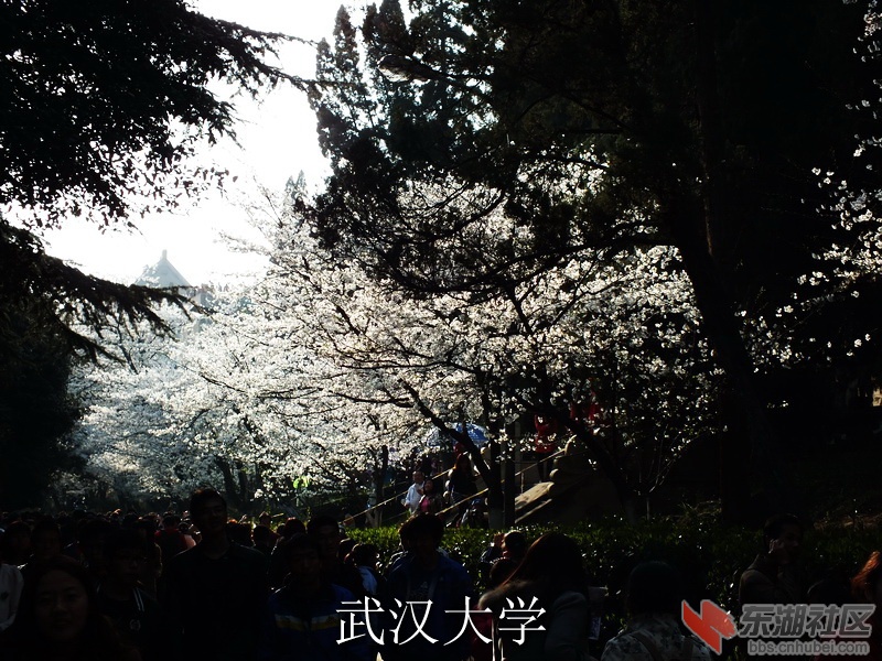 DSCF3411_缩小大小_exposure.JPG