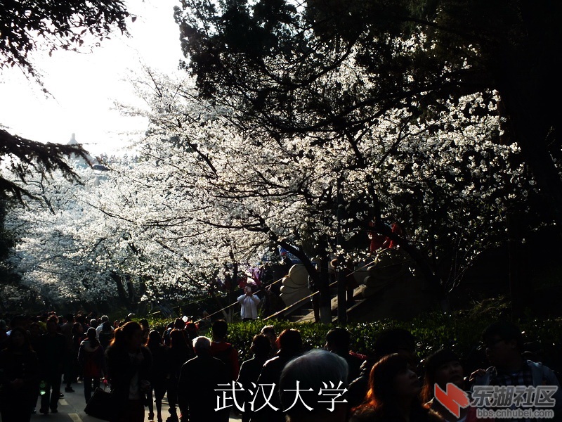 DSCF3413_缩小大小_exposure.JPG