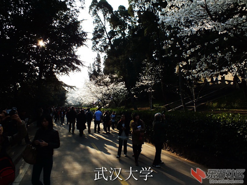 DSCF3417_缩小大小_exposure.JPG