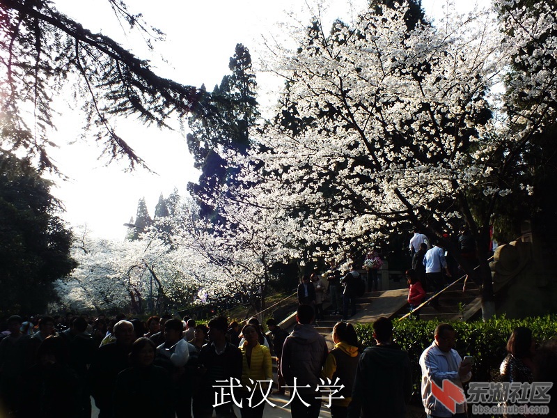 DSCF3419_缩小大小_exposure.JPG