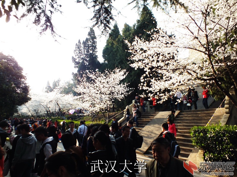 DSCF3420_缩小大小_exposure.JPG