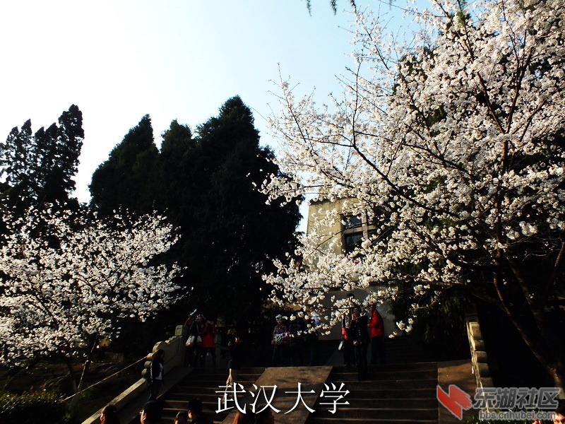 DSCF3423_缩小大小_exposure.JPG