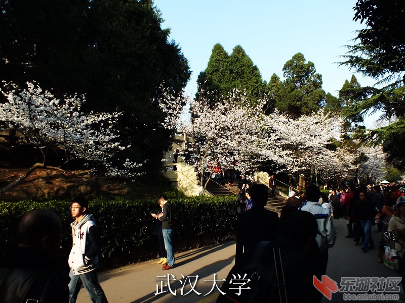 DSCF3426_缩小大小_exposure.JPG