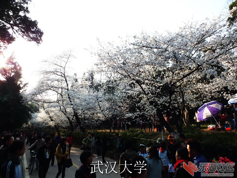 DSCF3430_缩小大小_exposure.JPG