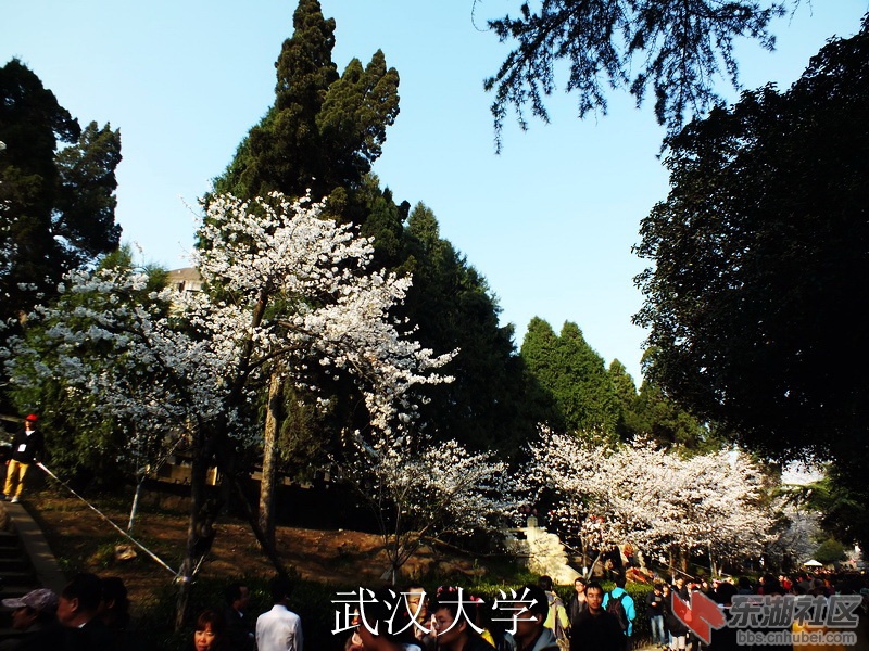 DSCF3432_缩小大小_exposure.JPG