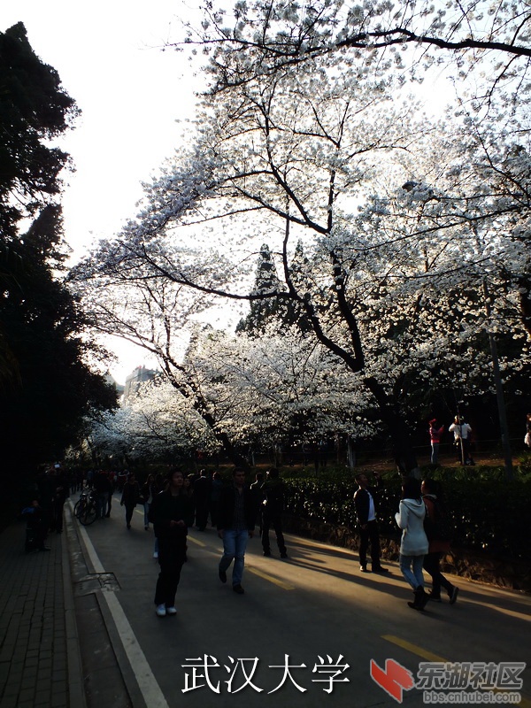 DSCF3461_缩小大小_exposure.JPG