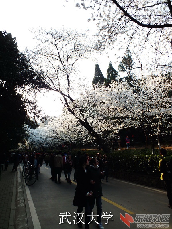 DSCF3465_缩小大小_exposure.JPG