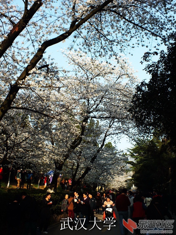 DSCF3467_缩小大小_exposure.JPG