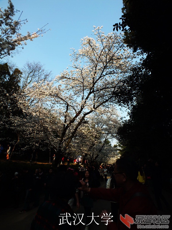 DSCF3471_缩小大小_exposure.JPG