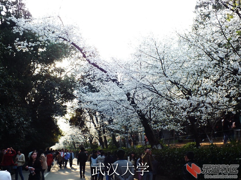 DSCF3476_缩小大小_exposure.JPG