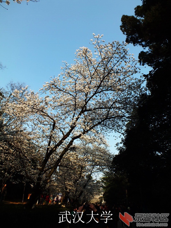 DSCF3477_缩小大小_exposure.JPG