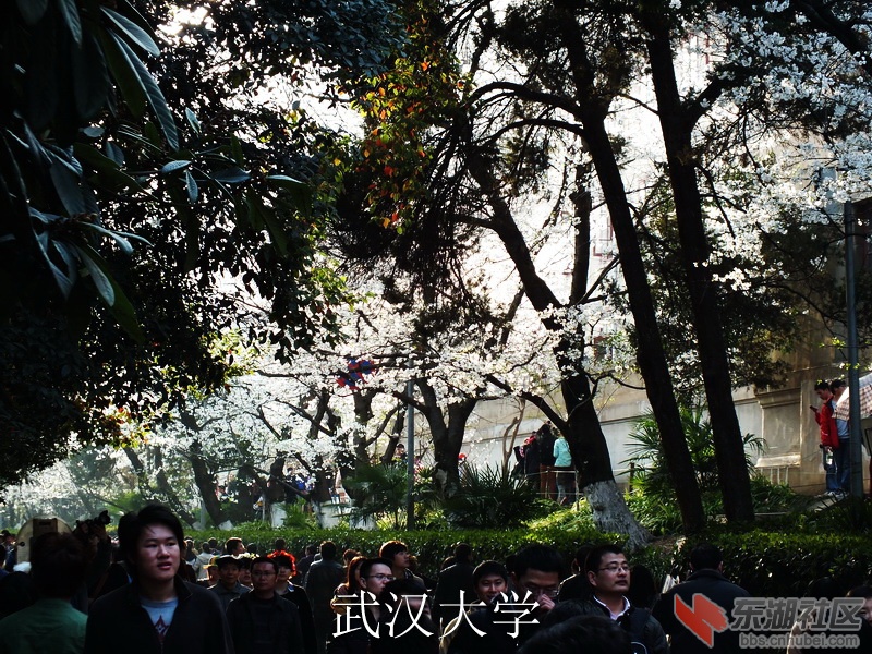 DSCF3478_缩小大小_exposure.JPG