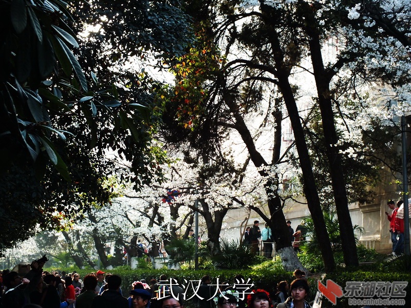 DSCF3479_缩小大小_exposure.JPG