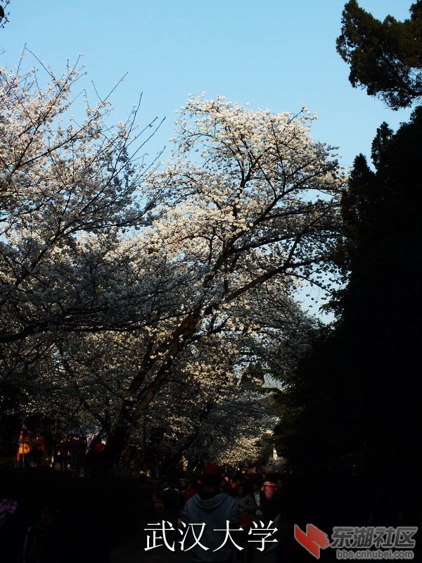 DSCF3481_缩小大小_exposure.JPG