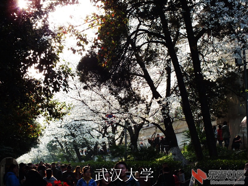 DSCF3483_缩小大小_exposure.JPG