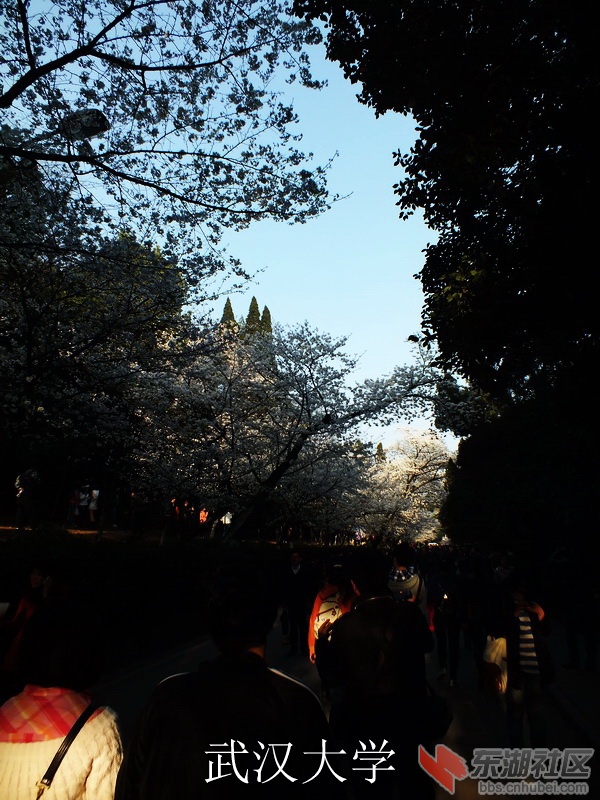 DSCF3489_缩小大小_exposure.JPG