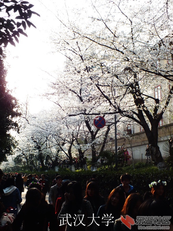 DSCF3493_缩小大小_exposure.JPG