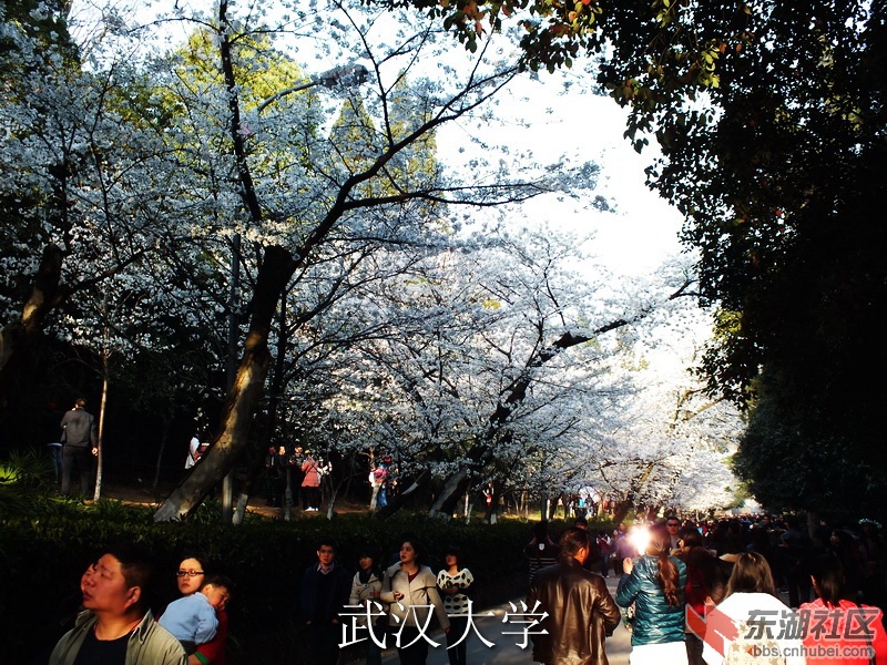 DSCF3498_缩小大小_exposure.JPG