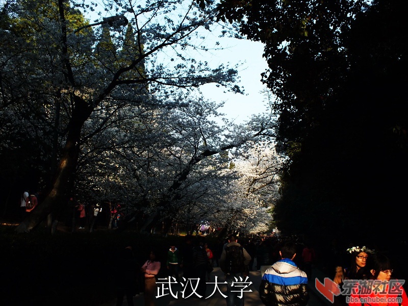 DSCF3500_缩小大小_exposure.JPG
