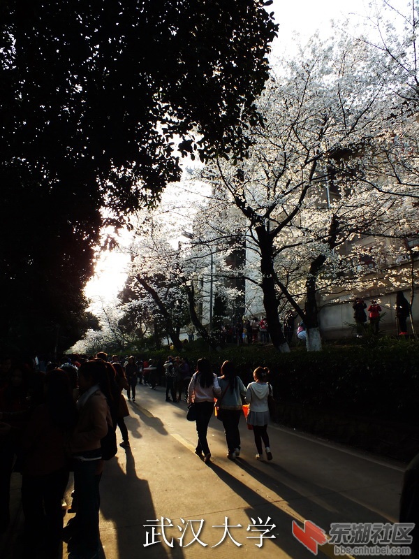 DSCF3515_缩小大小_exposure.JPG