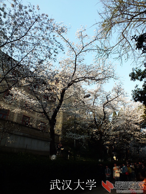 DSCF3517_缩小大小_exposure.JPG
