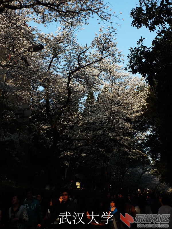 DSCF3521_缩小大小_exposure.JPG